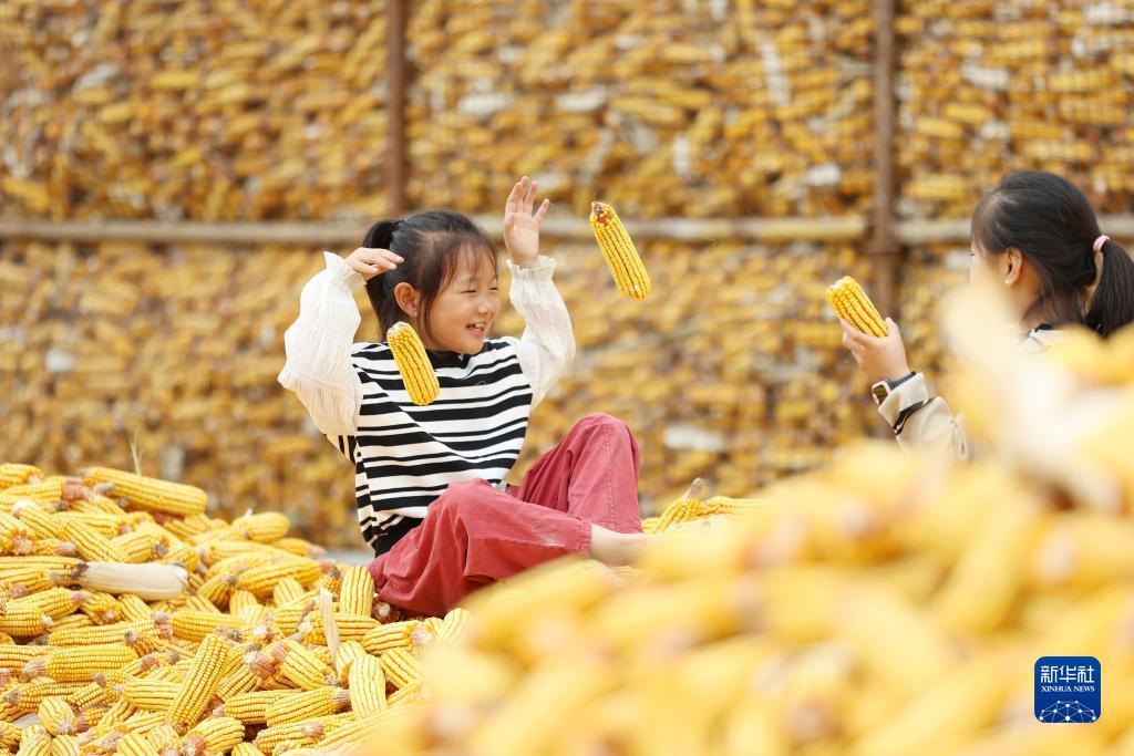 打金可提现